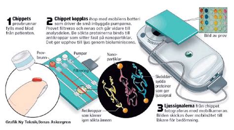 Illustration of the proposed POCT device equipped with antibody-coated ...