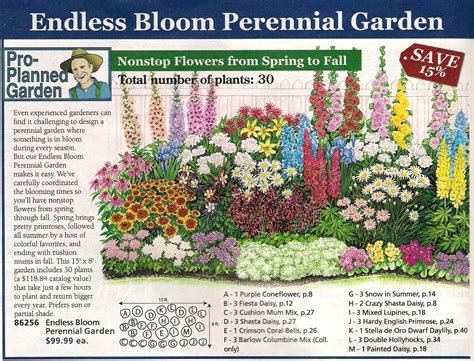 492196a7dd9c605fb3cf4b4347f2c3cfjpgplanning A Perennial Wildflower ...