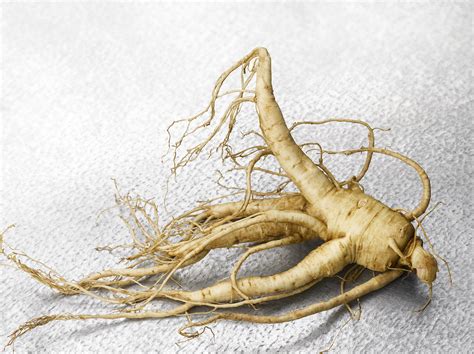 To expand exports, Wisconsin ginseng industry relies on UW–Madison ...