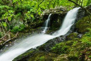 The Best Waterfalls In Shenandoah National Park