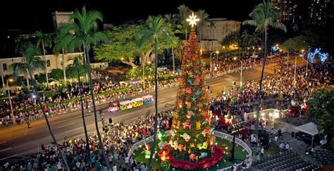 Honolulu City Lights. | Honolulu city lights, Hawaii holiday, City tree