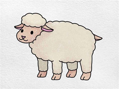 Sheep Drawing for Kids - HelloArtsy