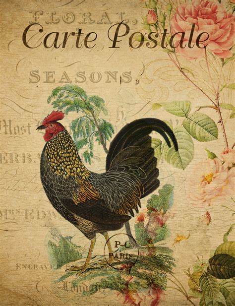 Rooster Vintage Floral Postcard Free Stock Photo - Public Domain Pictures