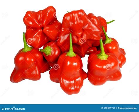 Capsicum Chinense Chilli stock photo. Image of flavor - 132361754