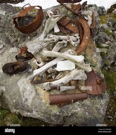 Historic artifacts, bones, tools, Chilkoot Trail, Pass, Klondike Gold ...