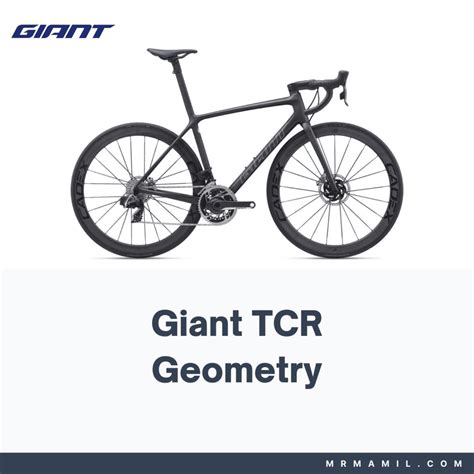 Giant TCR Frame Geometry (2020-2023) - Mr. Mamil