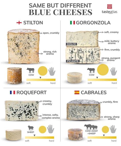 Do you know the differences between these iconic blue cheeses? Which ...