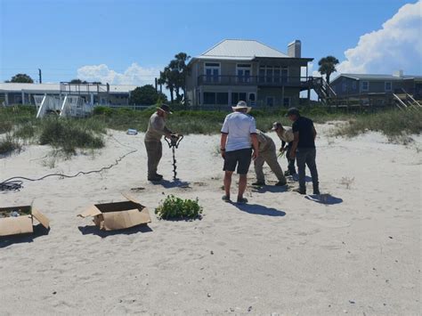 Dune Restoration for Homeowners and Beach Property Owners