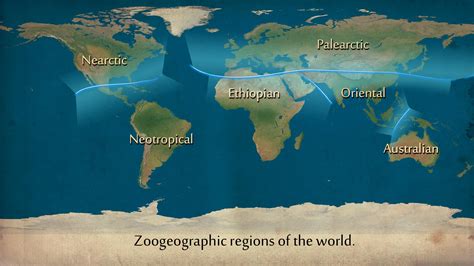 Advent of the Wallace Line – Wallacea and Biogeography