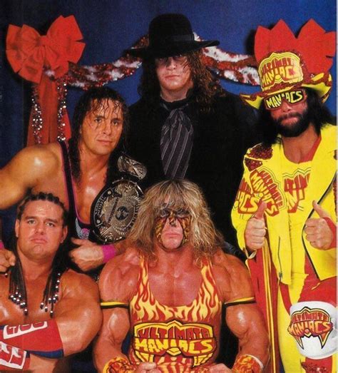 Pin by Mickey Dunne on WWE/WCW/ECW/AEW | Wwf superstars, Wrestling posters, Wrestling wwe