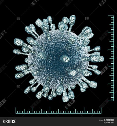 Virus Under Microscope Image & Photo (Free Trial) | Bigstock