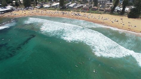 Surf Club | Avoca Beach SLSC | Avoca Beach