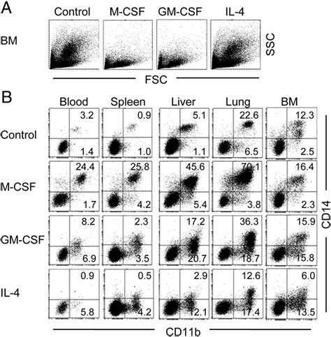 Differentiation of promonocytes in response to human M-CSF and GM-CSF... | Download Scientific ...