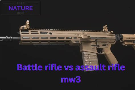 Battle Rifle VS Assault Rifle MW3: Choose Best Loadout - The Nature Hero