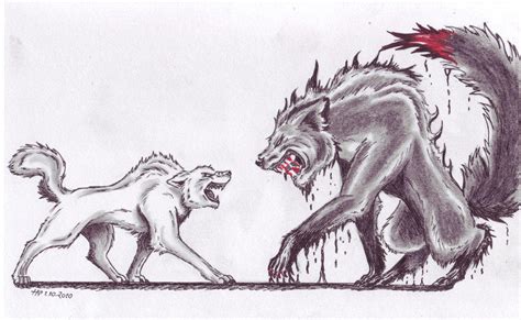 Skinwalker vs Werewolf by Grayton14 on DeviantArt