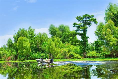 Atchafalaya Swamp - WorldAtlas