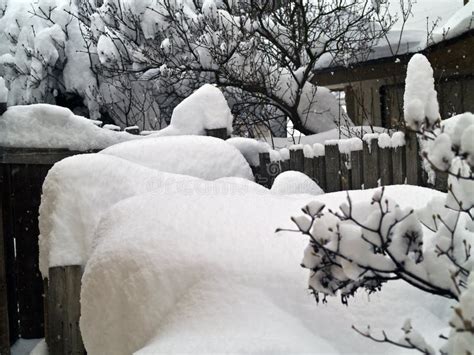 A Heavy Snowfall stock image. Image of january, frost - 27882383