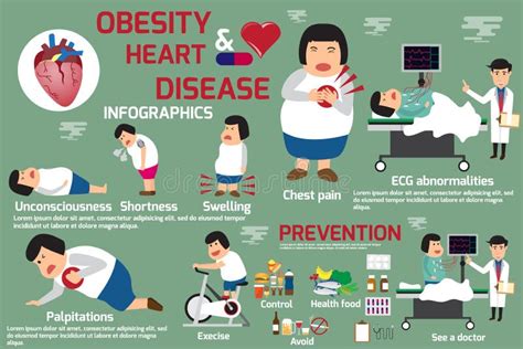 Graphics Content Presentation about Fat Women Obesity and Heart Stock ...