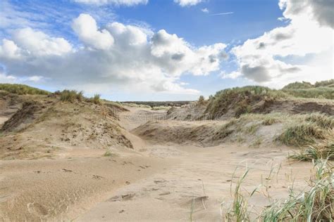 Dune Landscape Dutch North Sea Coast with Slopes with Dune Grasses and ...