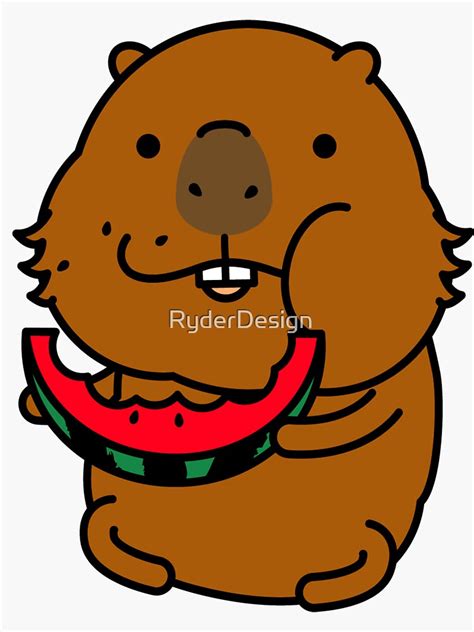 "Capybara eating a juicy watermelon" Sticker for Sale by RyderDesign | Redbubble