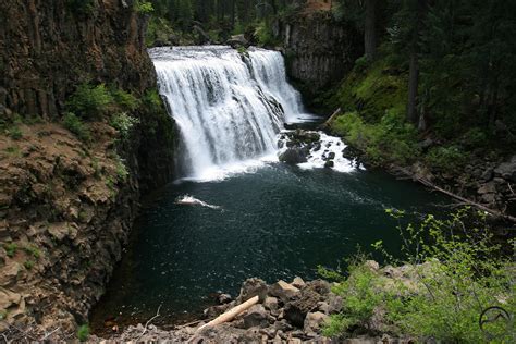 McCloud River Falls Trail | River trip, River falls, Mccloud