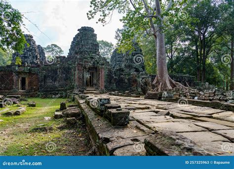 Cambodia. Angkor. the Old Ruins of Banteay Kdei Temple with a Banyan ...