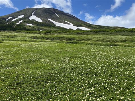 Hokkaido, Japan : r/natureporn