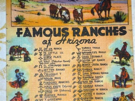 Famous Ranches of Arizona Old Cattle Brands Vintage Curt Teich