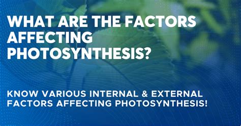 Factors Affecting Photosynthesis – Know Blackman’s Principle