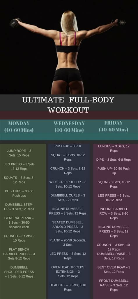 Best Full Body Workout Plan / Total Body Workout Plan Using Only A Barbell - 15 The Best ...