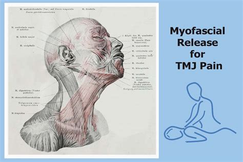 Myofascial Release Treatment for TMJ Pain