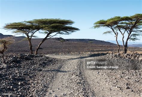 Dirt Road Around Lake Turkana High-Res Stock Photo - Getty Images