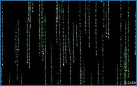 Original Matrix Screensaver - Download-Screensavers.biz