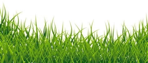 cartoon grass png 20 free Cliparts | Download images on Clipground 2024