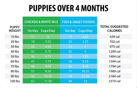 Iams Puppy Large Breed Feeding Chart