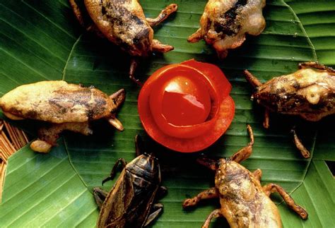 Deep-fried Giant Water Bugs Photograph by Peter Menzel/science Photo ...