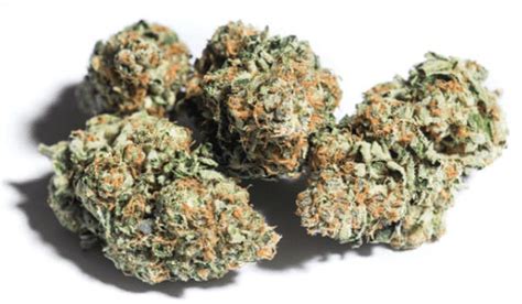 Scooby Snacks Weed Strain Information and Review