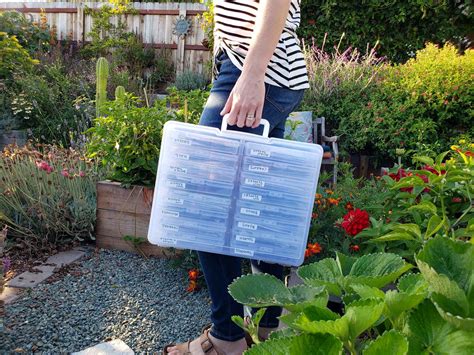 Seed Storage: The Best Way to Store & Organize Garden Seeds ~ Homestead and Chill