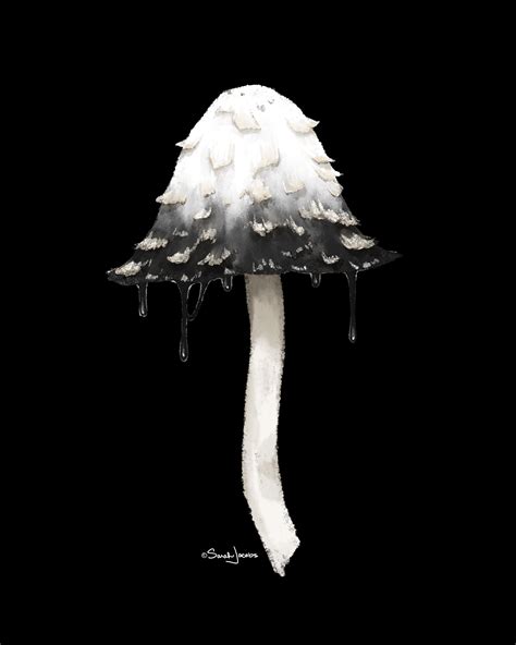 Inky Cap Mushroom - Billy Jacobs Art Gallery