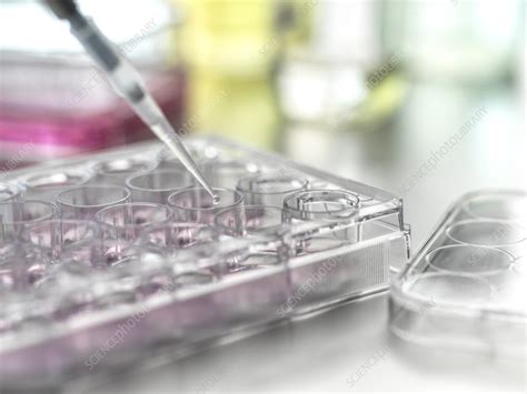 Pharmaceutical research - Stock Image - F036/9073 - Science Photo Library