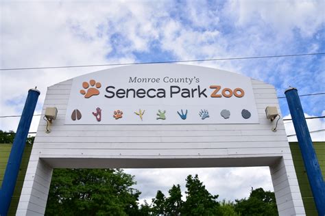 COVID-19 and Animals - Seneca Park Zoo