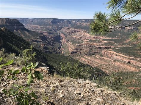 Protecting the Kaibab Plateau Ancient Forest and Larger Grand Staircase ...