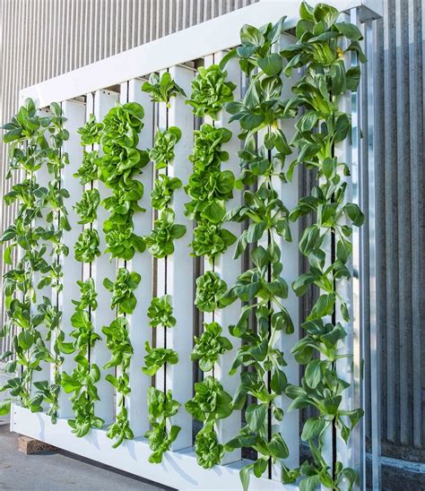 Farm to Fork | Agricultural Sensors in Food Production | Vertical Farming