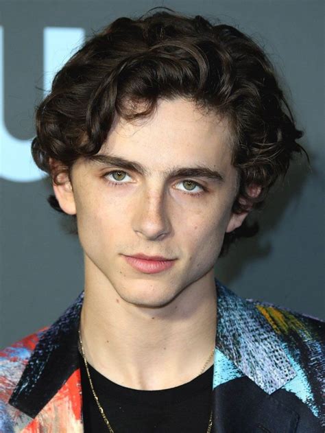 Timothée Chalamet - Be Refined Site Gallery Of Photos