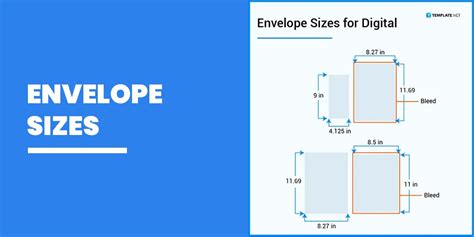 What Size Is A Dl Envelope In Inches