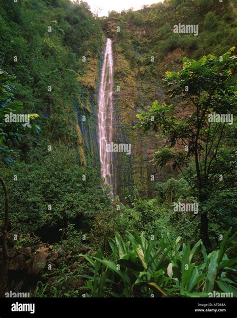 Waimoku Falls Maui Hawaii Stock Photo - Alamy