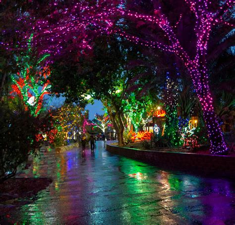 Arizona LeadingAge - 2023 Zoolights - Ticket Purchase