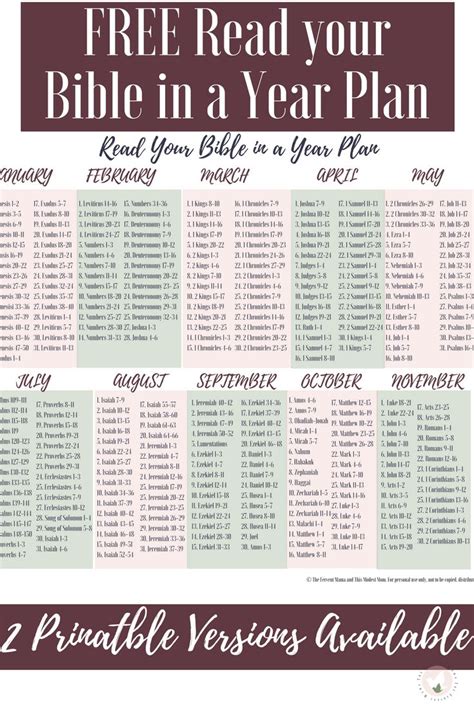 Beginner 12 Month Bible In A Year Reading Plan Printable