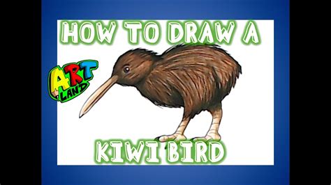 Favorite Tips About How To Draw Kiwi Bird - Securityquarter28