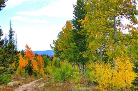 4 Fantastic Spots to Find Fall Colors in Winter Park, Colorado - Epic Mountain Sports